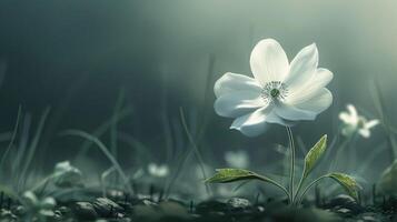 AI generated Ethereal White Flower in Mystical Forest photo
