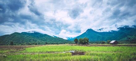 Fog over the mountains.In the rainy weather in the countryside. Rice field photo