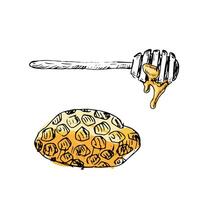 Honey in spoon and comb hand drawn sketch in color vector