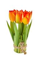 Red and yellow tulips tied with twine for house decoration on white background photo