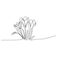 línea arte, ramo de flores de flores azafrán primavera y verano, dibujo con uno línea. vector ilustración blanco antecedentes