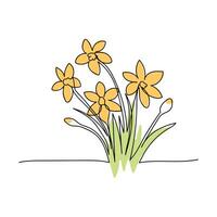 line art, bouquet of flowers narcissus spring and summer, drawing with one line. vector illustration white background