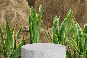 Circle marble podium with palm leaves.Modern Minimal Podium Palm Green Natural Tropical Wild Concept Abstract Background 3d Render photo