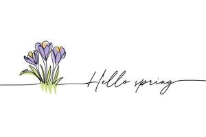 Hello spring, crocuses line art drawing, One continuous line drawing. for postcard design. vector