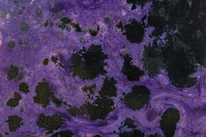 macro mineral stone Charoite on a white background photo