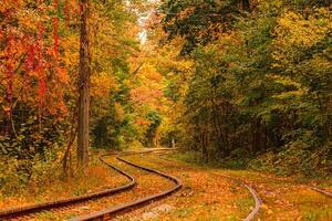 otoño bosque mediante cuales un antiguo tranvía paseos Ucrania foto