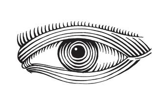 hand drawn eye drawing line art engraved style vector