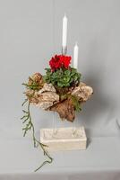 Christmas composition of flowers and Christmas decorations photo