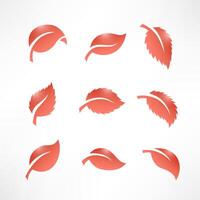 Artistic Collection of Red Leaves Set, Vector Illustration