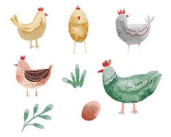 Cute Chicken Watercolor Animal Set vector