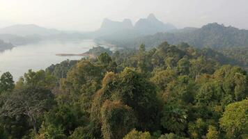 masticare lan lago e sempreverde foresta pluviale nel khao va bene, Tailandia video