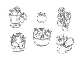 Set of hand drawn sketchy isolated tomatoes. Doodle black contour group of vegetables in a bowl, basket and a branch of them on white background. Ideal for coloring pages, tattoo, pattern vector