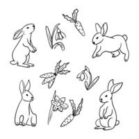 Single line sketchy set with easter rabbits with carrots and snowdrops. Spring or easter concept. Contour doodle animals on white background. Ideal for coloring pages, tattoo, pattern vector