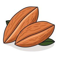 Almond nut design vector illustration.