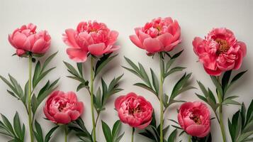 AI generated Pink Peonies Bouquet on Gray Background photo