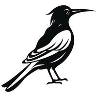 Hoopoe black Silhouette vector, white background. vector