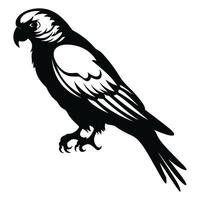 Cockatoo black Silhouette vector