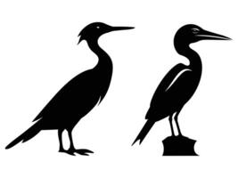 Cormorant black Silhouette vector. vector