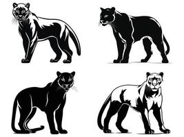 Cougar black Silhouette vector. vector