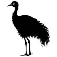 Emu black Silhouette vector, white background. vector