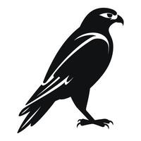 Falcon black Silhouette vector, white background. vector