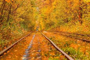 Autumn forest through which an old tram rides Ukraine photo