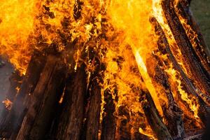 Beautiful fire flames on a campfire photo