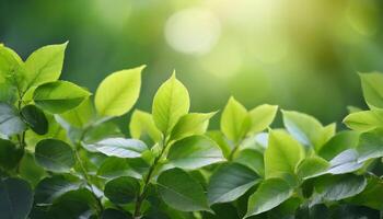 AI generated Closeup green leaves background, Overlay fresh leaf pattern, Natural foliage textured and background photo