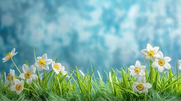 AI generated Close up of spring flowers with green grass on blured light blue background, Spring background for banner or card photo