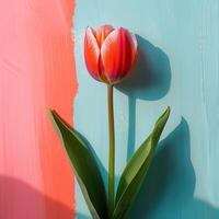 AI generated A tulip flower attached to a vibrant backdrop. Embracing a minimalistic concept photo