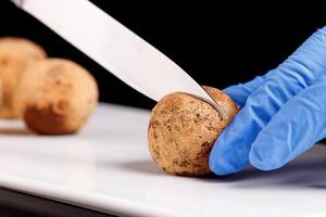 Beautiful candy truffle in a cut on a white plate on a black background photo