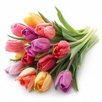 AI generated colored tulip flower bouquet isolated photo