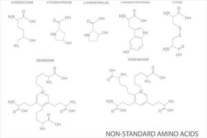 aminado ácido molecular esquelético químico fórmula vector