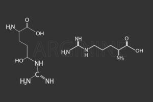 arginina molecular esquelético químico fórmula vector