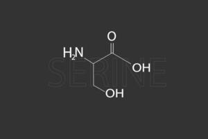 serina molecular esquelético químico fórmula vector