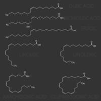 estructural químico fórmulas de insaturado graso ácidos, oleico, ricinoleico, erúcico, linoleico, linolénico, araquidónico, clupanodónico generado vector