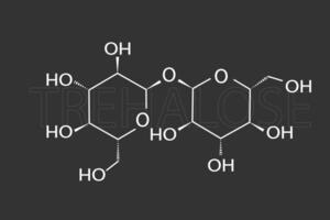 trehalosa molecular esquelético químico fórmula vector