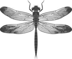 AI generated Silhouette Dragonfly black color only full body vector