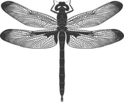 AI generated Silhouette Dragonfly black color only full body vector