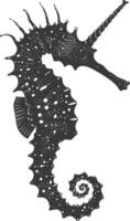 AI generated Silhouette seahorse animal black color only full body vector