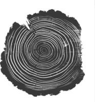 AI generated Silhouette Tree rings black color only vector