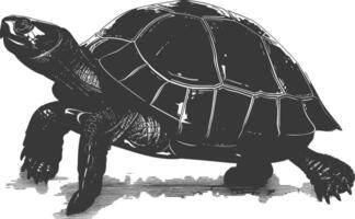 AI generated Silhouette Turtle Animal black color only full body vector