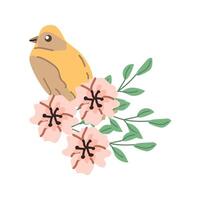 spring bird in branch and flowers for greeting card, cover design. Vector illustration isolated. Can used for wallpaper, poster, print design for cloth.