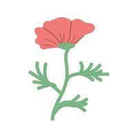 Hand drawn spring flower red poppy with leaves vector illustration. Can used for decoration banner, greeting card, invitation decor.