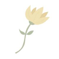 A single yellow flower on a white background vector