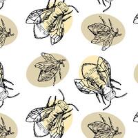 Honey bee hand drawn sketch pattern retro on white vector