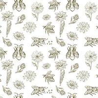 Hand drawn vintage floral elements and bee pattern vector