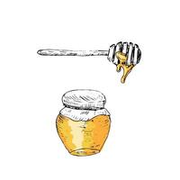 Honey jar and spoon hand drawn sketch in color set vector