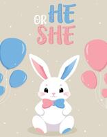 Baby Shower or gender party card. invitation gender party. Cute bunny and balloons. vector illustration