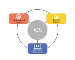 3 dimensiones de contabilidad información sistemas incluir organizativo cultura, negocio estrategia, información tecnología vector